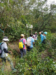 Thumbnail of PA260005.jpg