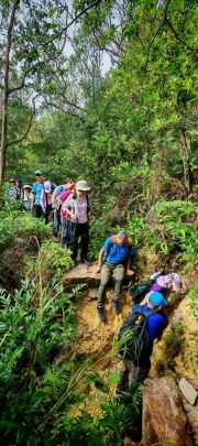 Thumbnail of pic_Cindy_Tse_002.jpg