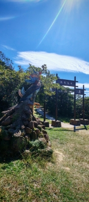 Thumbnail of pic_Cindy_Tse_035.jpg