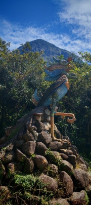 Thumbnail of pic_Cindy_Tse_038.jpg