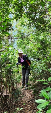 Thumbnail of pic_Si9_007.jpg