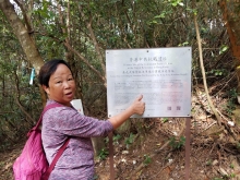 Thumbnail of PB020021.jpg