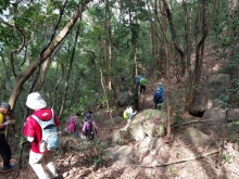 Thumbnail of PB020034.jpg