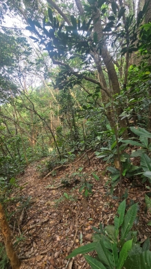 Thumbnail of pic_KW_Li_008.jpg