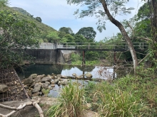 Thumbnail of pic_TB_Tung_001.jpg