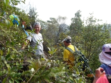 Thumbnail of pic_LK_Cheung_030.JPG