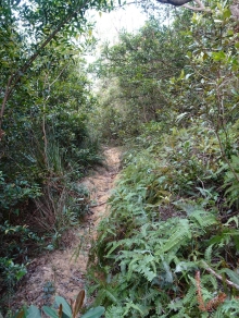 Thumbnail of pic_LK_Cheung_040.JPG