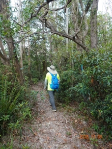 Thumbnail of pic_LK_Cheung_043.JPG