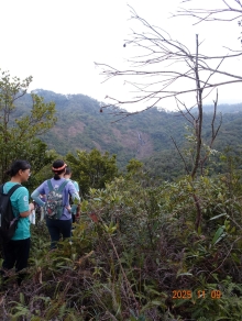 Thumbnail of pic_LK_Cheung_047.JPG