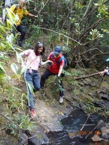 Thumbnail of pic_LK_Cheung_056.JPG