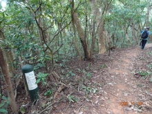 Thumbnail of pic_LK_Cheung_063.JPG