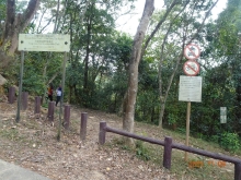 Thumbnail of pic_LK_Cheung_065.JPG