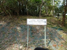 Thumbnail of pic_LK_Cheung_074.JPG