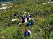 Thumbnail of 20251116_090.jpg