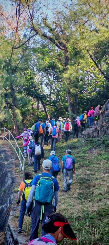 Thumbnail of pic_Cindy_Tse_003.jpg