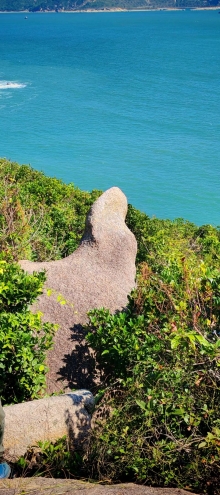 Thumbnail of pic_Cindy_Tse_019.jpg