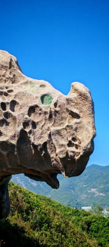 Thumbnail of pic_Cindy_Tse_048.jpg