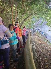 Thumbnail of pic_SK_Kwan_006.JPG