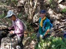 PB230027.jpg (565634 bytes)