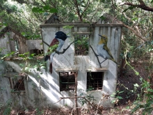 PB230030.jpg (658152 bytes)