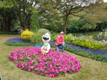 PB300017.jpg (739243 bytes)