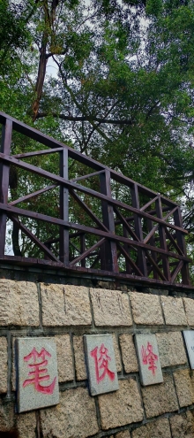 Thumbnail of pic_Cindy_Tse_022.jpg