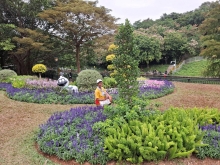 Thumbnail of pic_Szeto_018.jpg