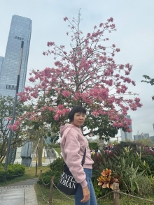 Thumbnail of pic_TB_Tung_010.JPG