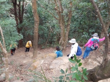 PC140053.jpg (644164 bytes)