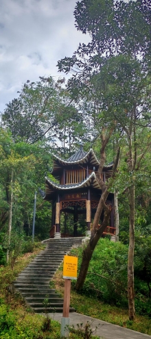 Thumbnail of pic_Cindy_Tse_004.jpg