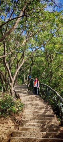 Thumbnail of pic_Cindy_Tse_020.jpg