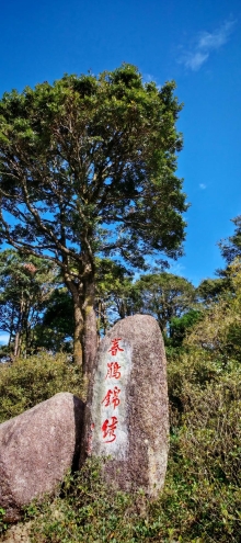 Thumbnail of pic_Cindy_Tse_031.jpg