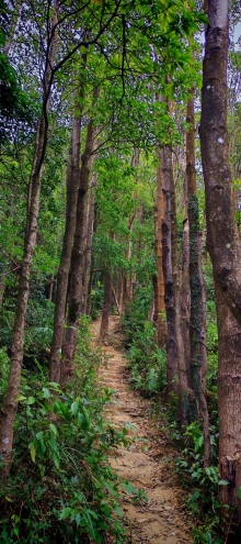 Thumbnail of pic_Cindy_Tse_047.jpg