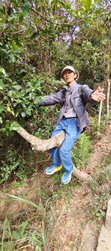 Thumbnail of pic_Derek_Wong_018.jpg