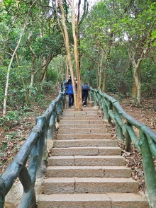 Thumbnail of pic_Lee_Shing_010.JPG