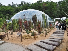 Thumbnail of pic_Lee_Shing_031.JPG