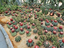 Thumbnail of pic_Lee_Shing_034.JPG