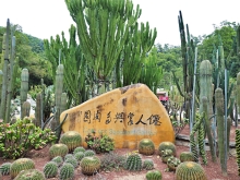 Thumbnail of pic_Lee_Shing_036.JPG