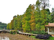 Thumbnail of pic_Lee_Shing_037.JPG