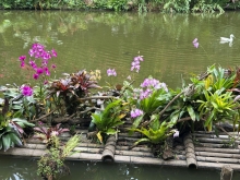 Thumbnail of pic_TB_Tung_025.JPG