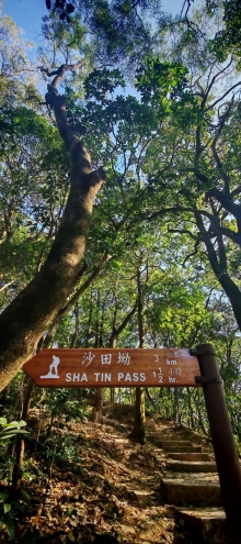 Thumbnail of pic_Cindy_Tse_018.jpg