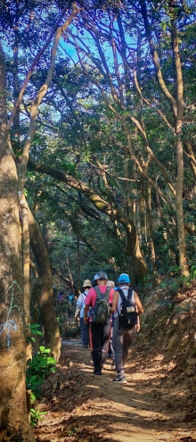 Thumbnail of pic_Cindy_Tse_019.jpg