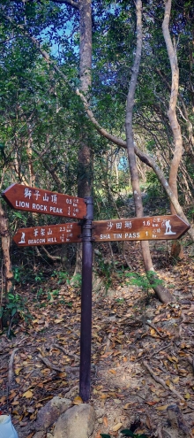 Thumbnail of pic_Cindy_Tse_022.jpg