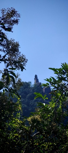 Thumbnail of pic_Cindy_Tse_035.jpg