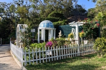 Thumbnail of pic_KL_Sin_010.jpg