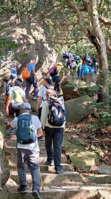 Thumbnail of pic_KL_Sin_023.jpg