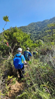 Thumbnail of pic_Si9_022.jpg