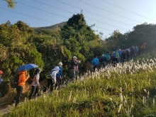 PC280007.jpg (539009 bytes)