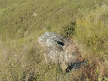 PC280019.jpg (400215 bytes)