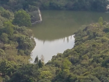 PC280035.jpg (157794 bytes)